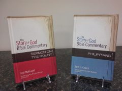 Something for Everyone: The Story of God Bible Commentary