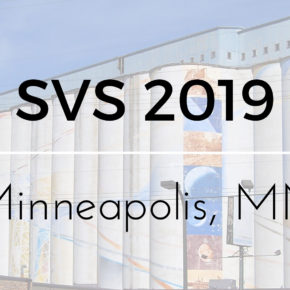 SVS 2019 – A Tenth Anniversary Celebration!